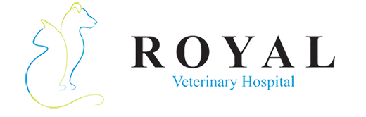 Royal Vet Hospital